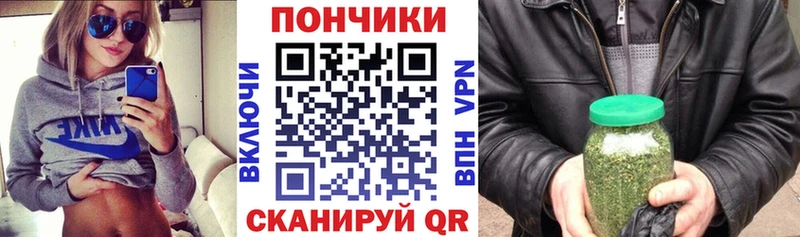 где купить   Тимашёвск  Марихуана ГИДРОПОН 